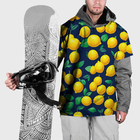 Накидка на куртку 3D с принтом Лимончики и листья в Екатеринбурге, 100% полиэстер |  | Тематика изображения на принте: 