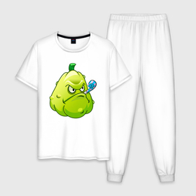 Мужская пижама хлопок с принтом PvZ Squash в Тюмени, 100% хлопок | брюки и футболка прямого кроя, без карманов, на брюках мягкая резинка на поясе и по низу штанин
 | 