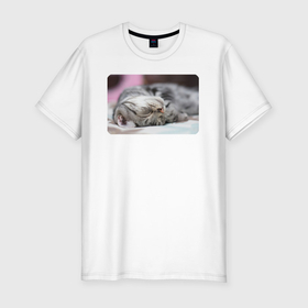 Мужская футболка хлопок Slim с принтом Милый спящий котик в Тюмени, 92% хлопок, 8% лайкра | приталенный силуэт, круглый вырез ворота, длина до линии бедра, короткий рукав | 