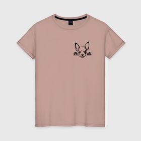 Женская футболка хлопок с принтом Смешная Чихуахуа в Кировске, 100% хлопок | прямой крой, круглый вырез горловины, длина до линии бедер, слегка спущенное плечо | 