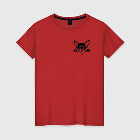 Женская футболка хлопок с принтом Суровая Чихуахуа , 100% хлопок | прямой крой, круглый вырез горловины, длина до линии бедер, слегка спущенное плечо | 