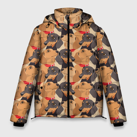 Мужская зимняя куртка 3D с принтом Собаки породы Такса , верх — 100% полиэстер; подкладка — 100% полиэстер; утеплитель — 100% полиэстер | длина ниже бедра, свободный силуэт Оверсайз. Есть воротник-стойка, отстегивающийся капюшон и ветрозащитная планка. 

Боковые карманы с листочкой на кнопках и внутренний карман на молнии. | 