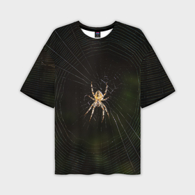 Мужская футболка oversize 3D с принтом паук на паутине фото в Тюмени,  |  | 