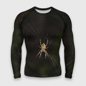 Мужской рашгард 3D с принтом паук на паутине фото в Белгороде,  |  | 