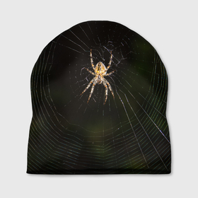 Шапка 3D с принтом паук на паутине фото в Петрозаводске, 100% полиэстер | универсальный размер, печать по всей поверхности изделия | 