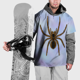 Накидка на куртку 3D с принтом Птицеед паук в Белгороде, 100% полиэстер |  | 