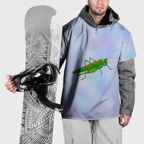 Накидка на куртку 3D с принтом Кузнечик зеленый в Екатеринбурге, 100% полиэстер |  | 