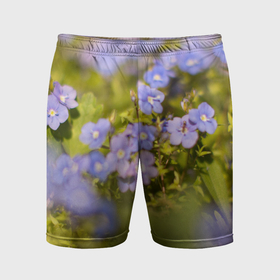 Мужские шорты спортивные с принтом незабудка любимый  цветок в Тюмени,  |  | 