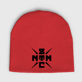 Мужская шапка демисезонная с принтом Noize MC logo в Петрозаводске,  |  | Тематика изображения на принте: 