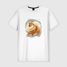 Мужская футболка хлопок Slim с принтом Милая собака шпиц в Кировске, 92% хлопок, 8% лайкра | приталенный силуэт, круглый вырез ворота, длина до линии бедра, короткий рукав | 