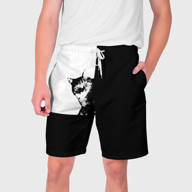 Мужские шорты 3D с принтом Абстракция кот черно белый в Курске,  полиэстер 100% | прямой крой, два кармана без застежек по бокам. Мягкая трикотажная резинка на поясе, внутри которой широкие завязки. Длина чуть выше колен | 