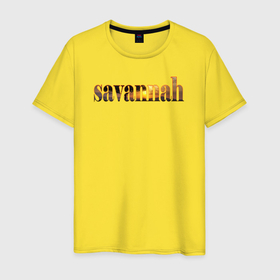 Мужская футболка хлопок с принтом Природа саванны в Петрозаводске, 100% хлопок | прямой крой, круглый вырез горловины, длина до линии бедер, слегка спущенное плечо. | 