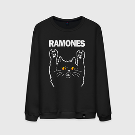 Мужской свитшот хлопок с принтом Ramones rock cat в Санкт-Петербурге, 100% хлопок |  | Тематика изображения на принте: 