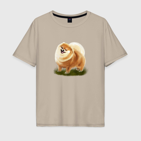 Мужская футболка хлопок Oversize с принтом смешной шпиц, собака с языком в Екатеринбурге, 100% хлопок | свободный крой, круглый ворот, “спинка” длиннее передней части | 