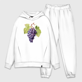 Мужской костюм oversize хлопок с принтом Гроздь винограда акварель ботаническая иллюстрация ,  |  | 