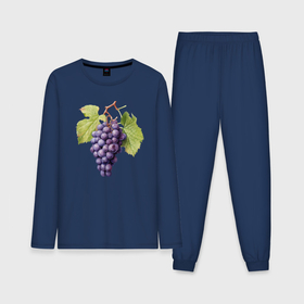 Мужская пижама с лонгсливом хлопок с принтом Гроздь винограда акварель ботаническая иллюстрация ,  |  | Тематика изображения на принте: 