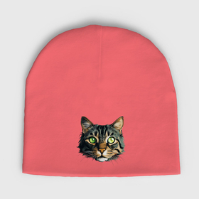 Мужская шапка демисезонная с принтом Морда кота иллюстрация ,  |  | Тематика изображения на принте: 