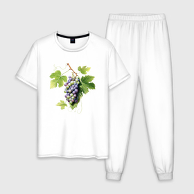 Мужская пижама хлопок с принтом Гроздь винограда акварель иллюстрация в Тюмени, 100% хлопок | брюки и футболка прямого кроя, без карманов, на брюках мягкая резинка на поясе и по низу штанин
 | 