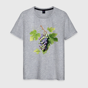 Мужская футболка хлопок с принтом Гроздь винограда акварель иллюстрация в Новосибирске, 100% хлопок | прямой крой, круглый вырез горловины, длина до линии бедер, слегка спущенное плечо. | Тематика изображения на принте: 