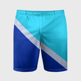Мужские шорты спортивные с принтом Двуцветный голубой ,  |  | 