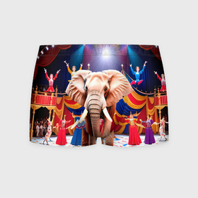 Мужские трусы 3D с принтом Слон с цирке в Белгороде, 50% хлопок, 50% полиэстер | классическая посадка, на поясе мягкая тканевая резинка | Тематика изображения на принте: 