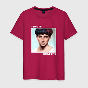 Мужская футболка хлопок с принтом Взгляд Тимоти Шаламе в Екатеринбурге, 100% хлопок | прямой крой, круглый вырез горловины, длина до линии бедер, слегка спущенное плечо. | 