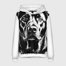 Мужская толстовка 3D Лабродор мой друг: в Ухте, 100% полиэстер | двухслойный капюшон со шнурком для регулировки, мягкие манжеты на рукавах и по низу толстовки, спереди карман-кенгуру с мягким внутренним слоем. |