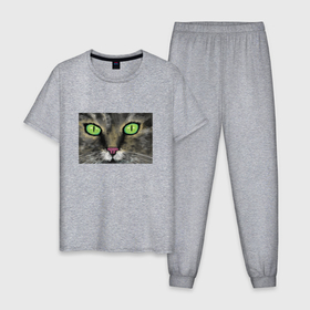 Мужская пижама хлопок с принтом Зеленоглазый кот в Екатеринбурге, 100% хлопок | брюки и футболка прямого кроя, без карманов, на брюках мягкая резинка на поясе и по низу штанин
 | 