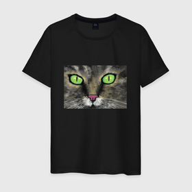 Мужская футболка хлопок с принтом Зеленоглазый кот в Екатеринбурге, 100% хлопок | прямой крой, круглый вырез горловины, длина до линии бедер, слегка спущенное плечо. | 