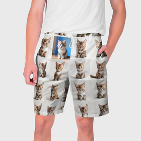 Мужские шорты 3D с принтом много котят в Екатеринбурге,  полиэстер 100% | прямой крой, два кармана без застежек по бокам. Мягкая трикотажная резинка на поясе, внутри которой широкие завязки. Длина чуть выше колен | Тематика изображения на принте: 