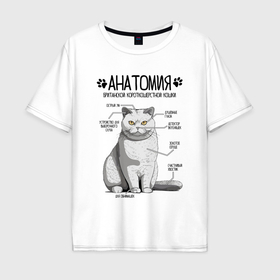 Мужская футболка хлопок Oversize с принтом Британская кошка анатомия в Курске, 100% хлопок | свободный крой, круглый ворот, “спинка” длиннее передней части | Тематика изображения на принте: 