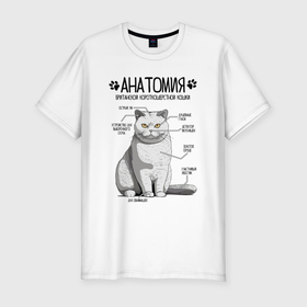 Мужская футболка хлопок Slim с принтом Британская кошка анатомия в Белгороде, 92% хлопок, 8% лайкра | приталенный силуэт, круглый вырез ворота, длина до линии бедра, короткий рукав | 