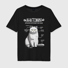 Мужская футболка хлопок Oversize с принтом Анатомия британской кошки в Курске, 100% хлопок | свободный крой, круглый ворот, “спинка” длиннее передней части | 