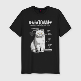 Мужская футболка хлопок Slim с принтом Анатомия британской кошки в Курске, 92% хлопок, 8% лайкра | приталенный силуэт, круглый вырез ворота, длина до линии бедра, короткий рукав | Тематика изображения на принте: 