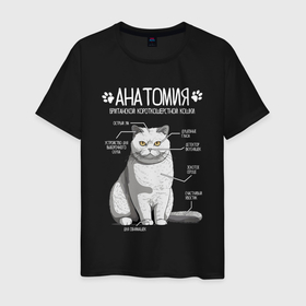 Мужская футболка хлопок с принтом Анатомия британской кошки в Белгороде, 100% хлопок | прямой крой, круглый вырез горловины, длина до линии бедер, слегка спущенное плечо. | 