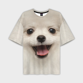 Мужская футболка oversize 3D с принтом Белая собачка   Померанский Шпиц в Белгороде,  |  | 