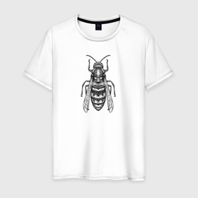 Мужская футболка хлопок с принтом Пчела гравюра в Петрозаводске, 100% хлопок | прямой крой, круглый вырез горловины, длина до линии бедер, слегка спущенное плечо. | 