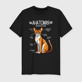 Мужская футболка хлопок Slim с принтом Анатомия абиссинской кошки в Белгороде, 92% хлопок, 8% лайкра | приталенный силуэт, круглый вырез ворота, длина до линии бедра, короткий рукав | 