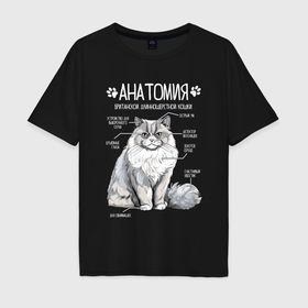 Мужская футболка хлопок Oversize с принтом Анатомия британской длинношерстной кошки в Тюмени, 100% хлопок | свободный крой, круглый ворот, “спинка” длиннее передней части | 