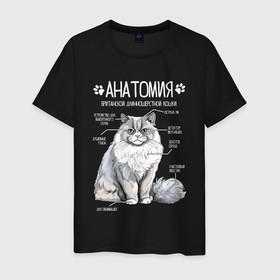 Мужская футболка хлопок с принтом Анатомия британской длинношерстной кошки в Петрозаводске, 100% хлопок | прямой крой, круглый вырез горловины, длина до линии бедер, слегка спущенное плечо. | 