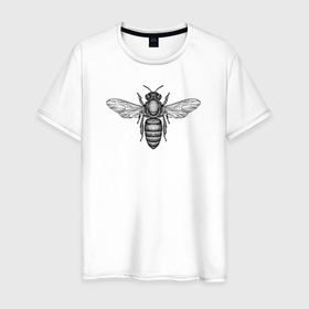 Мужская футболка хлопок с принтом Пчела гравюра в Санкт-Петербурге, 100% хлопок | прямой крой, круглый вырез горловины, длина до линии бедер, слегка спущенное плечо. | 