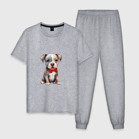 Мужская пижама хлопок с принтом Серо бежевый пёс в Белгороде, 100% хлопок | брюки и футболка прямого кроя, без карманов, на брюках мягкая резинка на поясе и по низу штанин
 | 