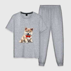 Мужская пижама хлопок с принтом Акита Ину щенок в Кировске, 100% хлопок | брюки и футболка прямого кроя, без карманов, на брюках мягкая резинка на поясе и по низу штанин
 | 