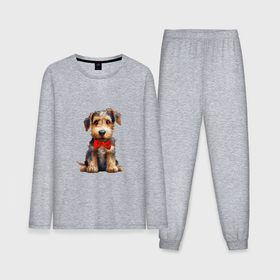 Мужская пижама с лонгсливом хлопок с принтом Эрдельтерьер собака в Курске,  |  | Тематика изображения на принте: 