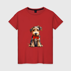 Женская футболка хлопок с принтом Эрдельтерьер собака в Курске, 100% хлопок | прямой крой, круглый вырез горловины, длина до линии бедер, слегка спущенное плечо | Тематика изображения на принте: 