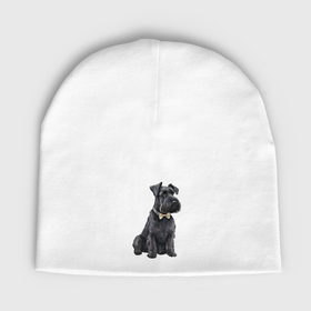 Мужская шапка демисезонная с принтом Шнауцер черный, с бантиком в Белгороде,  |  | Тематика изображения на принте: 