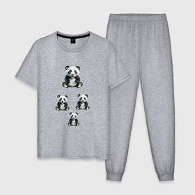 Мужская пижама хлопок с принтом маленькие панды в Белгороде, 100% хлопок | брюки и футболка прямого кроя, без карманов, на брюках мягкая резинка на поясе и по низу штанин
 | 