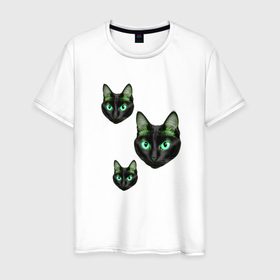 Мужская футболка хлопок с принтом три котика в Новосибирске, 100% хлопок | прямой крой, круглый вырез горловины, длина до линии бедер, слегка спущенное плечо. | Тематика изображения на принте: 