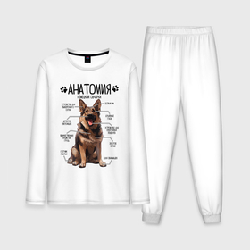 Мужская пижама с лонгсливом хлопок с принтом Анатомия немецкой овчарки, строение собаки в Кировске,  |  | 