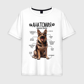 Мужская футболка хлопок Oversize с принтом Анатомия немецкой овчарки, строение собаки в Белгороде, 100% хлопок | свободный крой, круглый ворот, “спинка” длиннее передней части | 